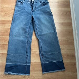 Evidnt size 27 wide leg jeans